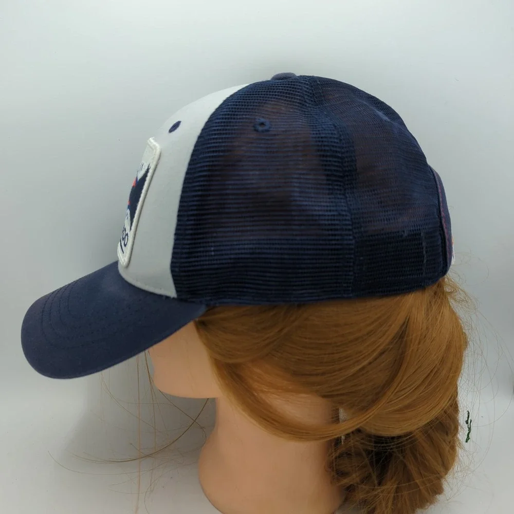 Colorado LTD Denver Limited Mountain Skyline Hat Cap SnapBack Mesh Trucker Style